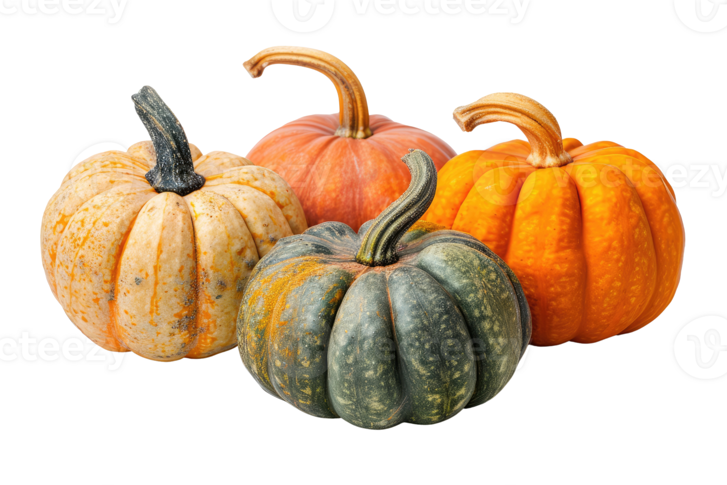 AI generated Pumpkins isolated on transparent background png