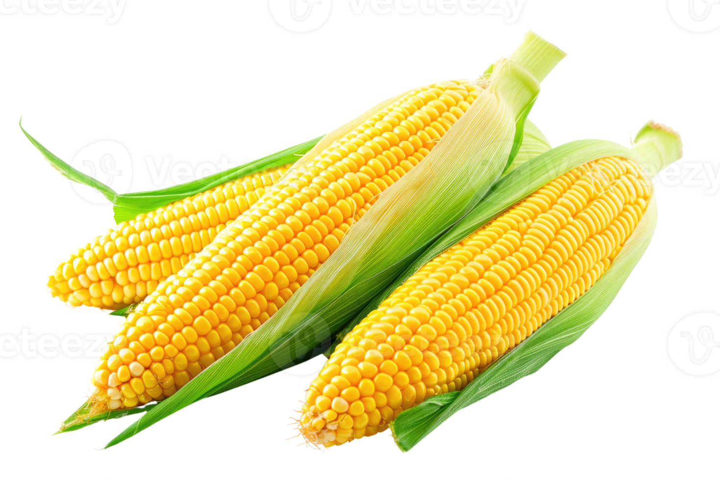 AI generated Fresh corn on transparent background png