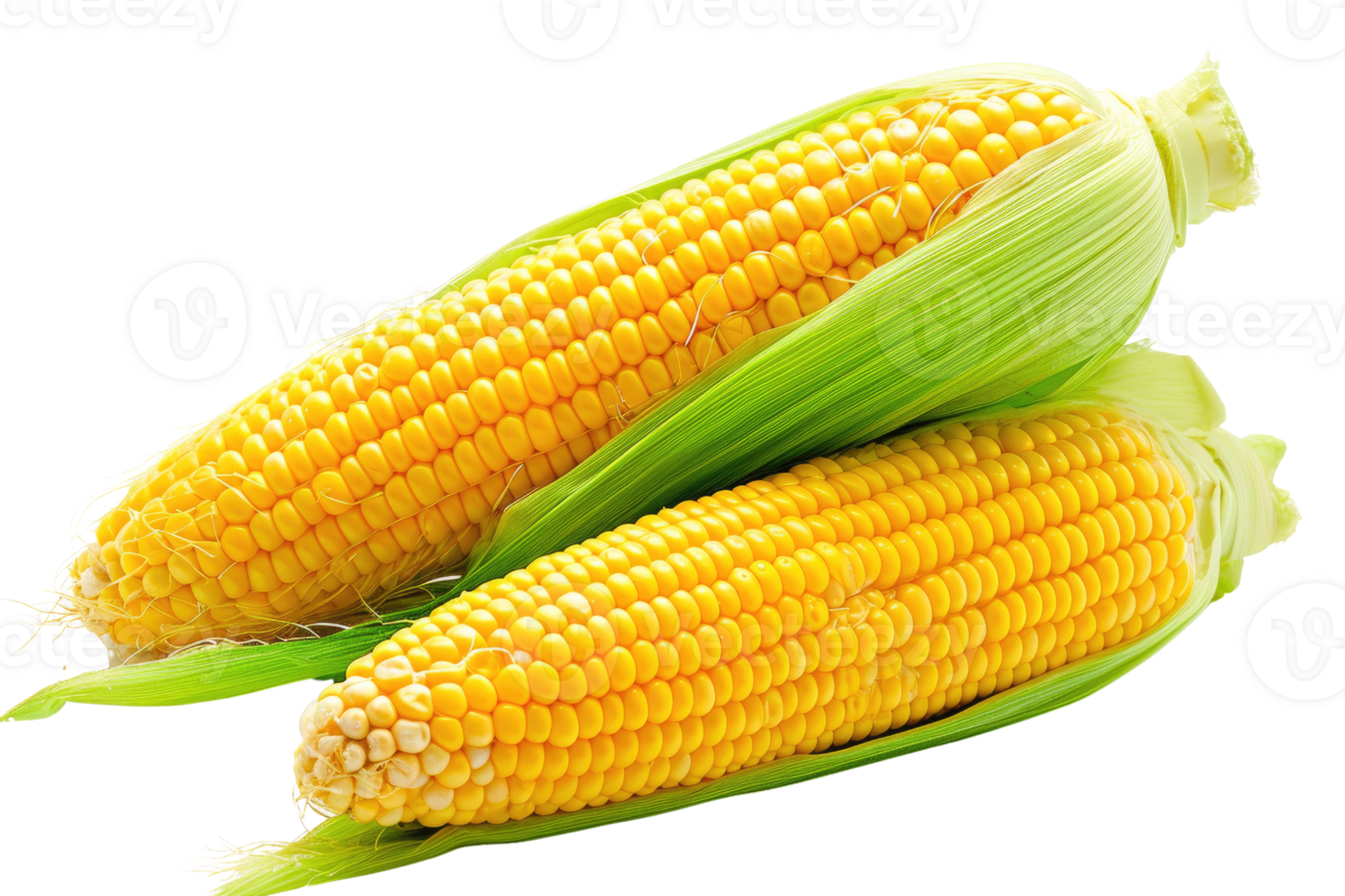 AI generated Fresh corn on transparent background png