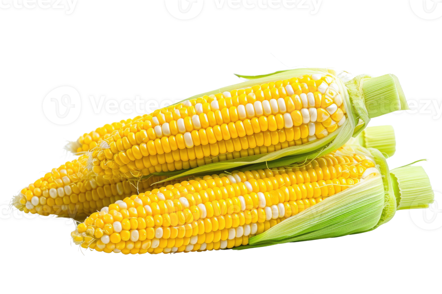 AI generated Fresh corn on transparent background png