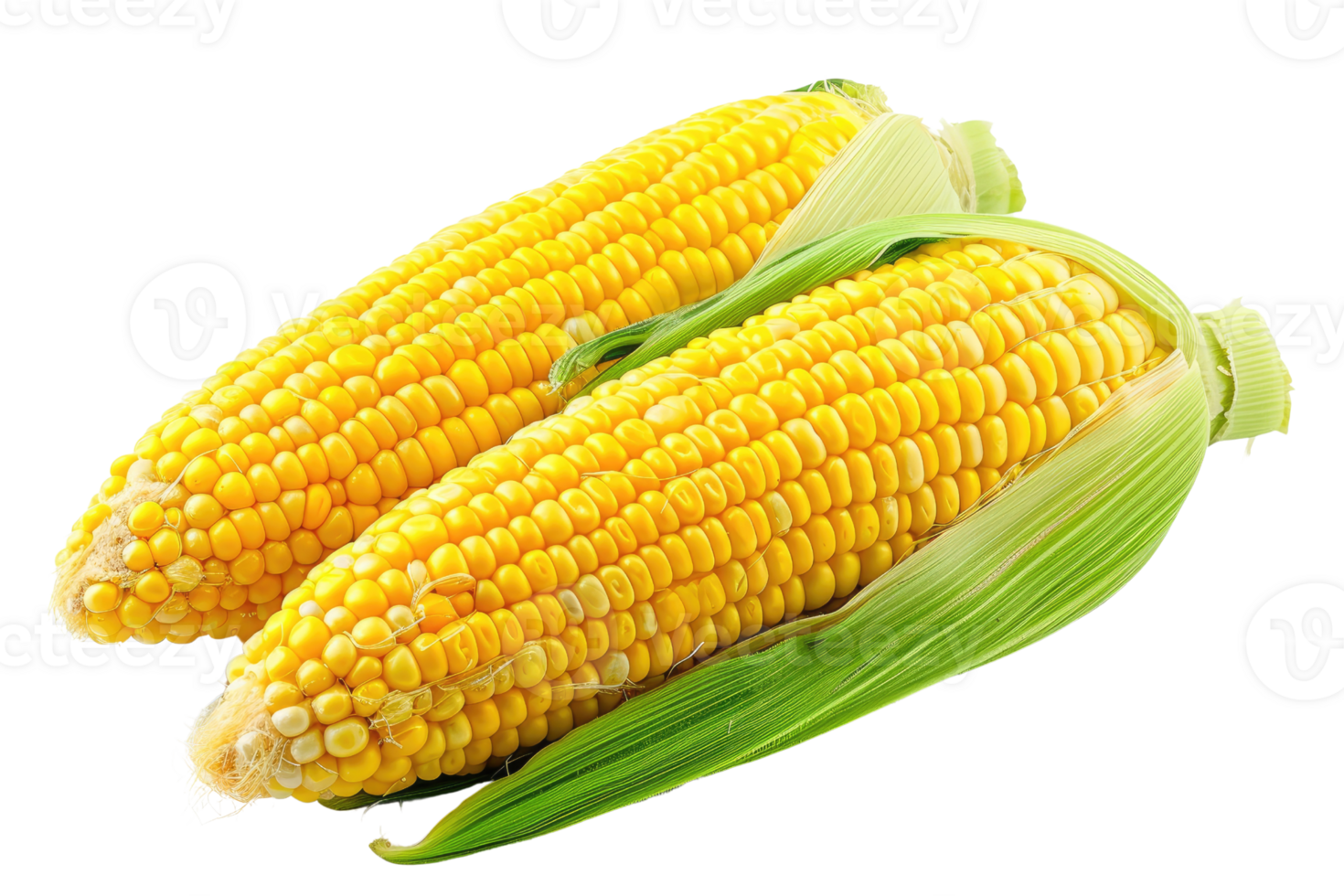 AI generated Fresh corn on transparent background png