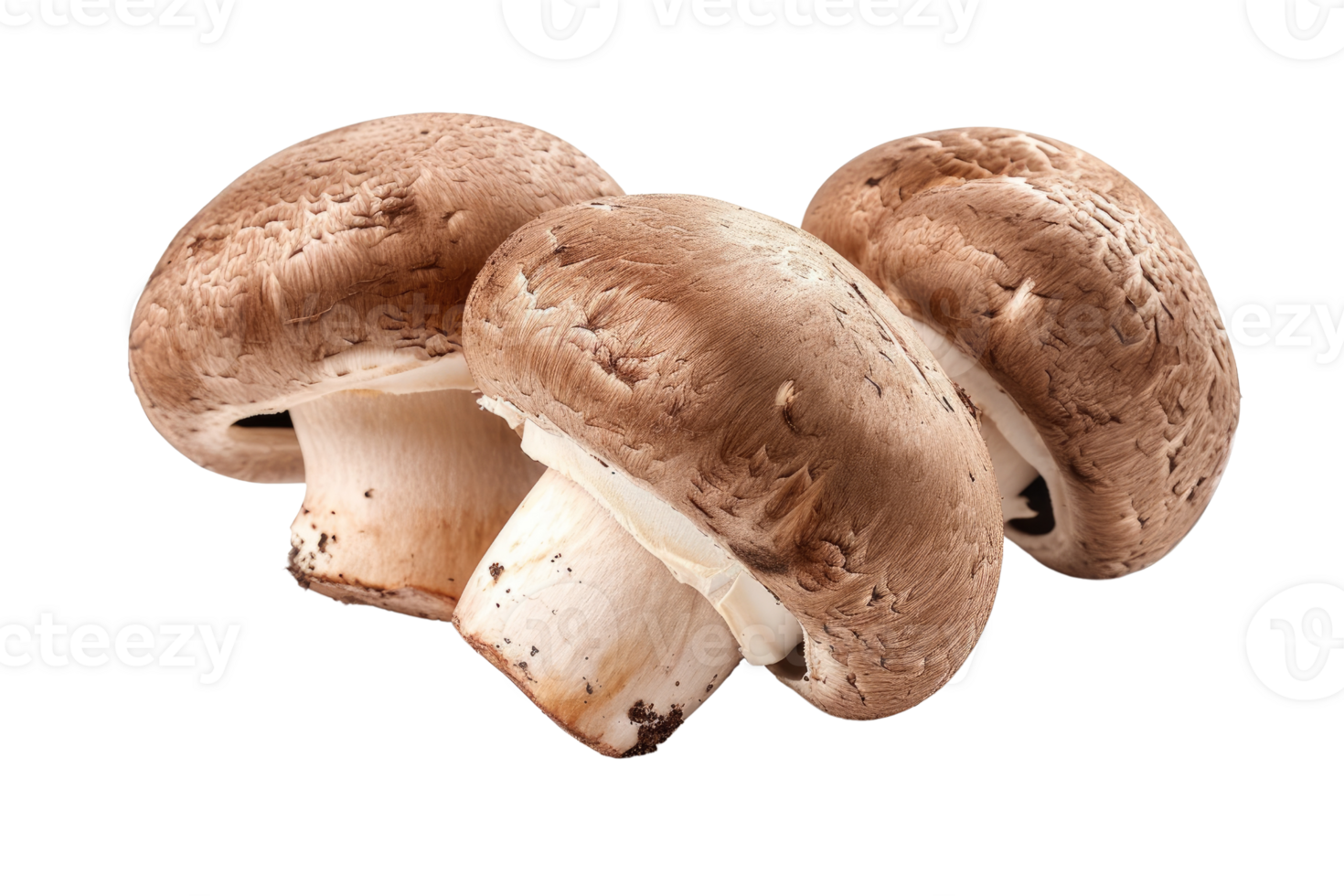 AI generated Brown champignon or portobello mushroom isolated transparent background png