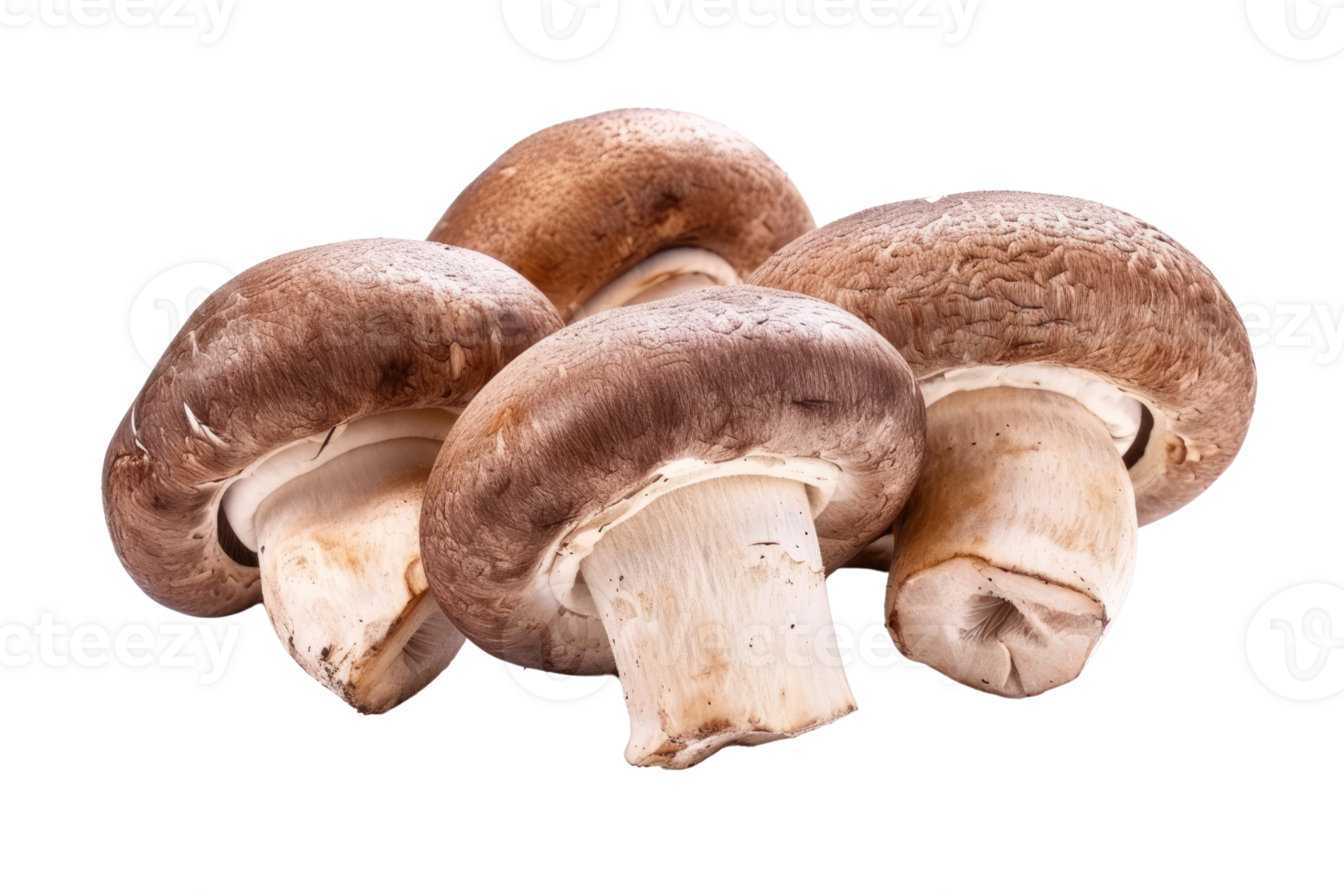 AI generated Brown champignon or portobello mushroom isolated transparent background png