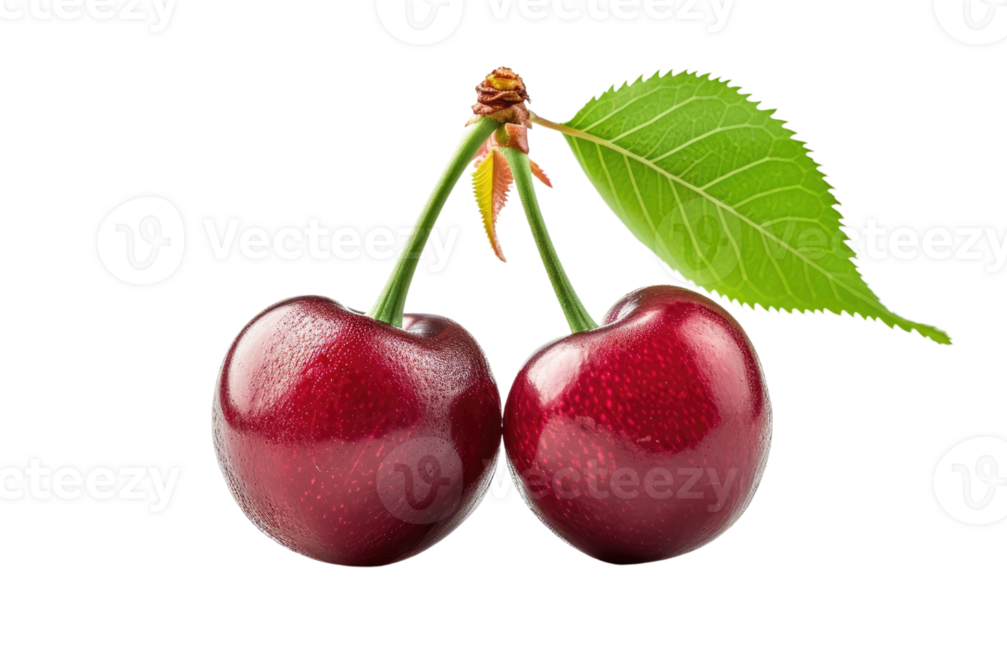 AI generated Cherry with stem and leaves isolated on transparent background png