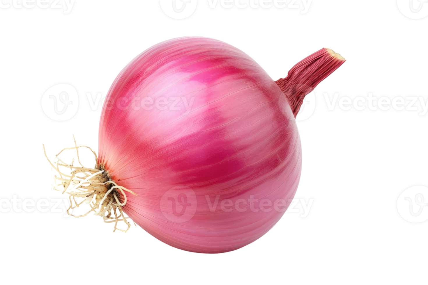 AI generated red onion isolated on transparent background png