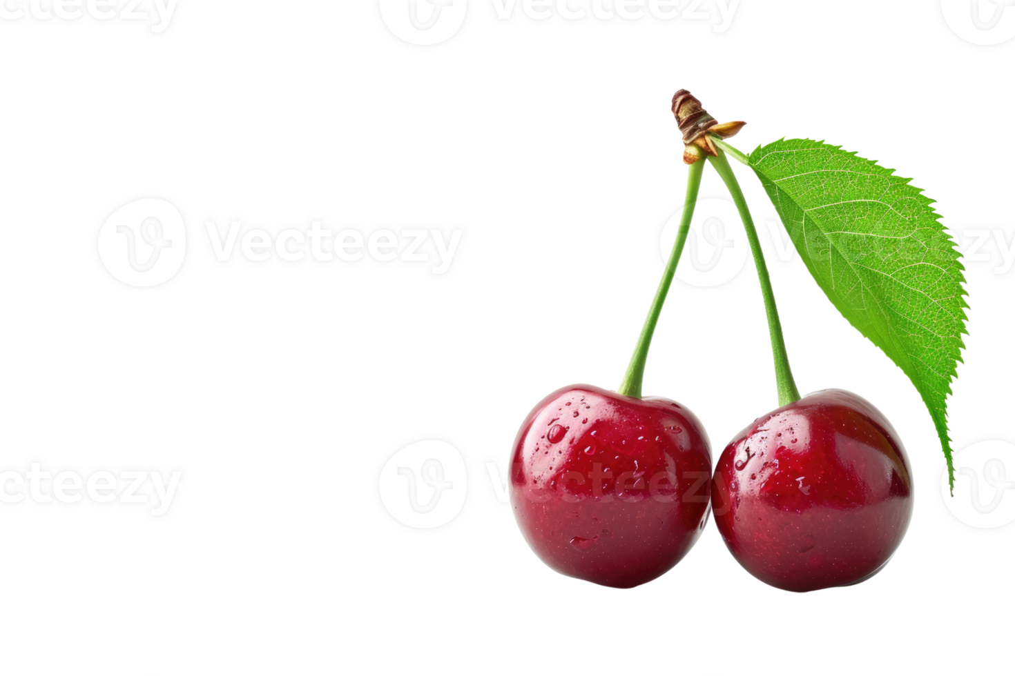 AI generated Cherry with stem and leaves isolated on transparent background png