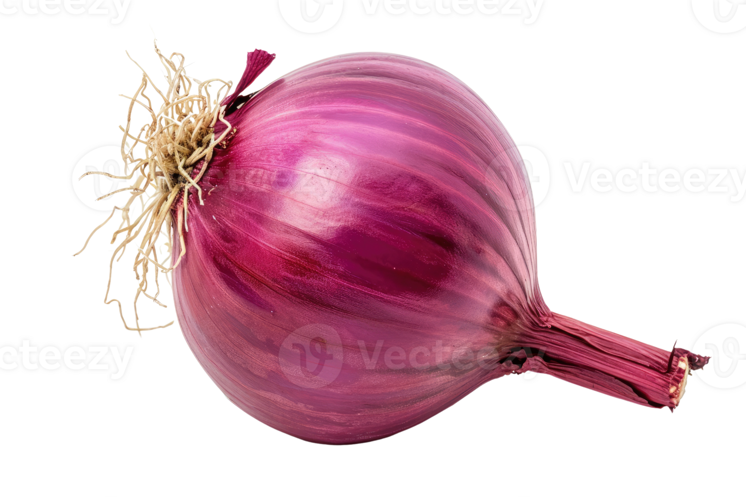 AI generated red onion isolated on transparent background png