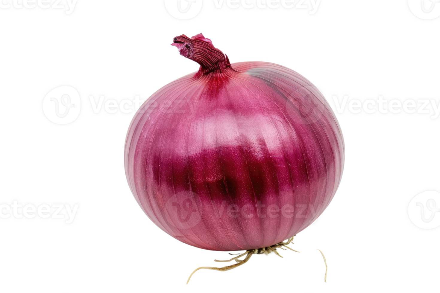 AI generated red onion isolated on transparent background png
