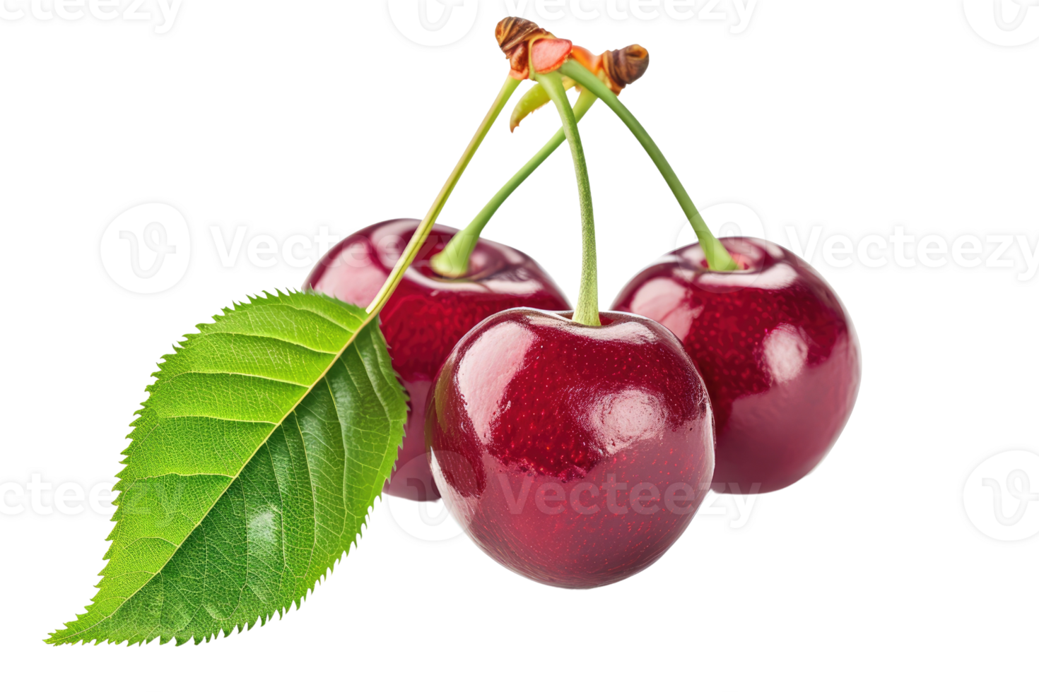 AI generated Cherry with stem and leaves isolated on transparent background png