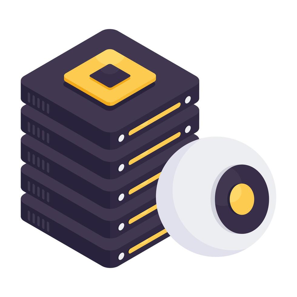 Perfect design icon of server camera vector