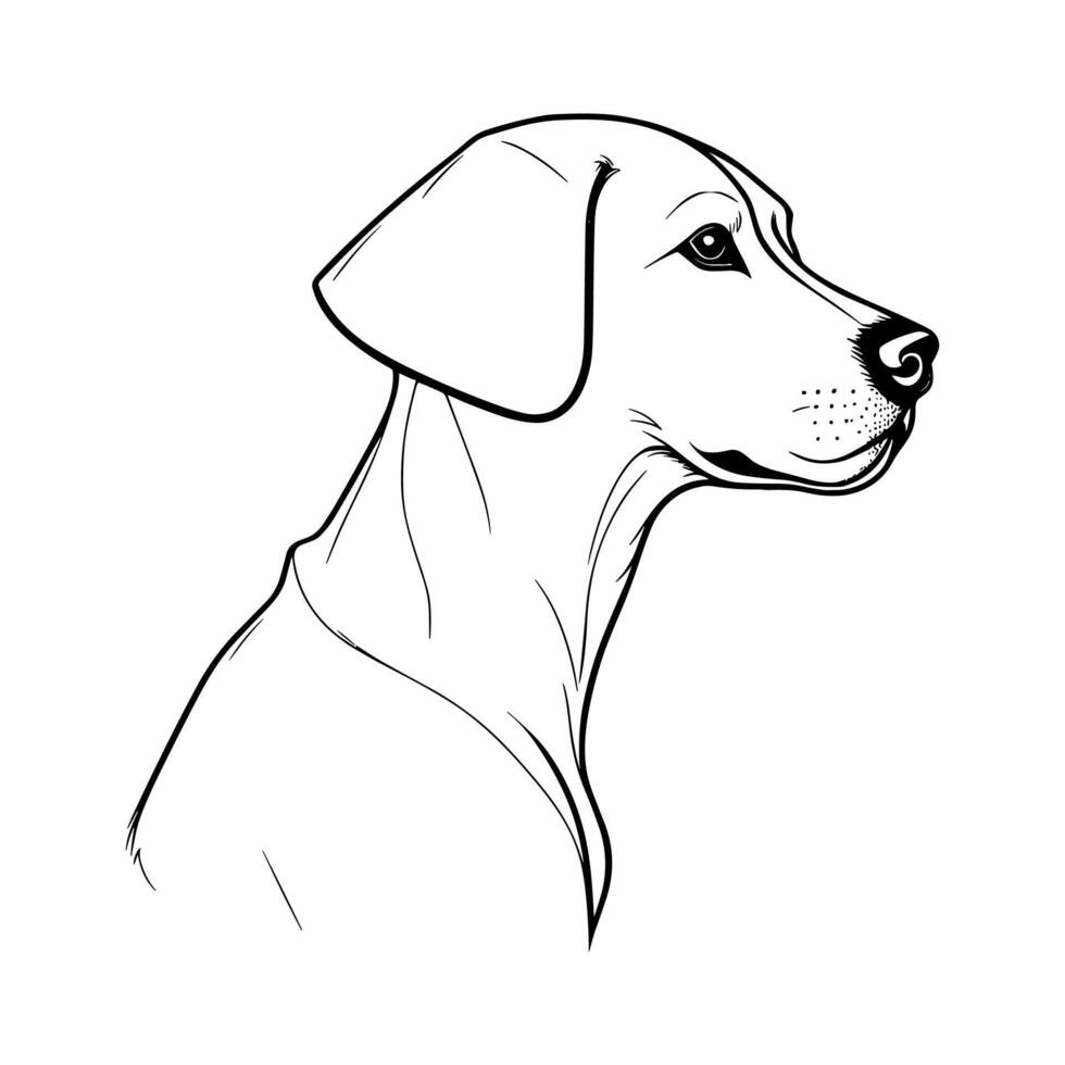 Cute dog vector black and white cartoon character design collection. White background. Pets, Animals.