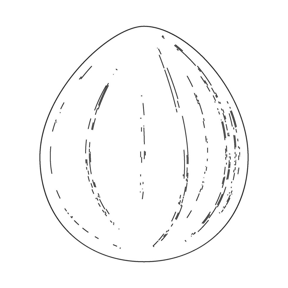 nutmeg icon vector