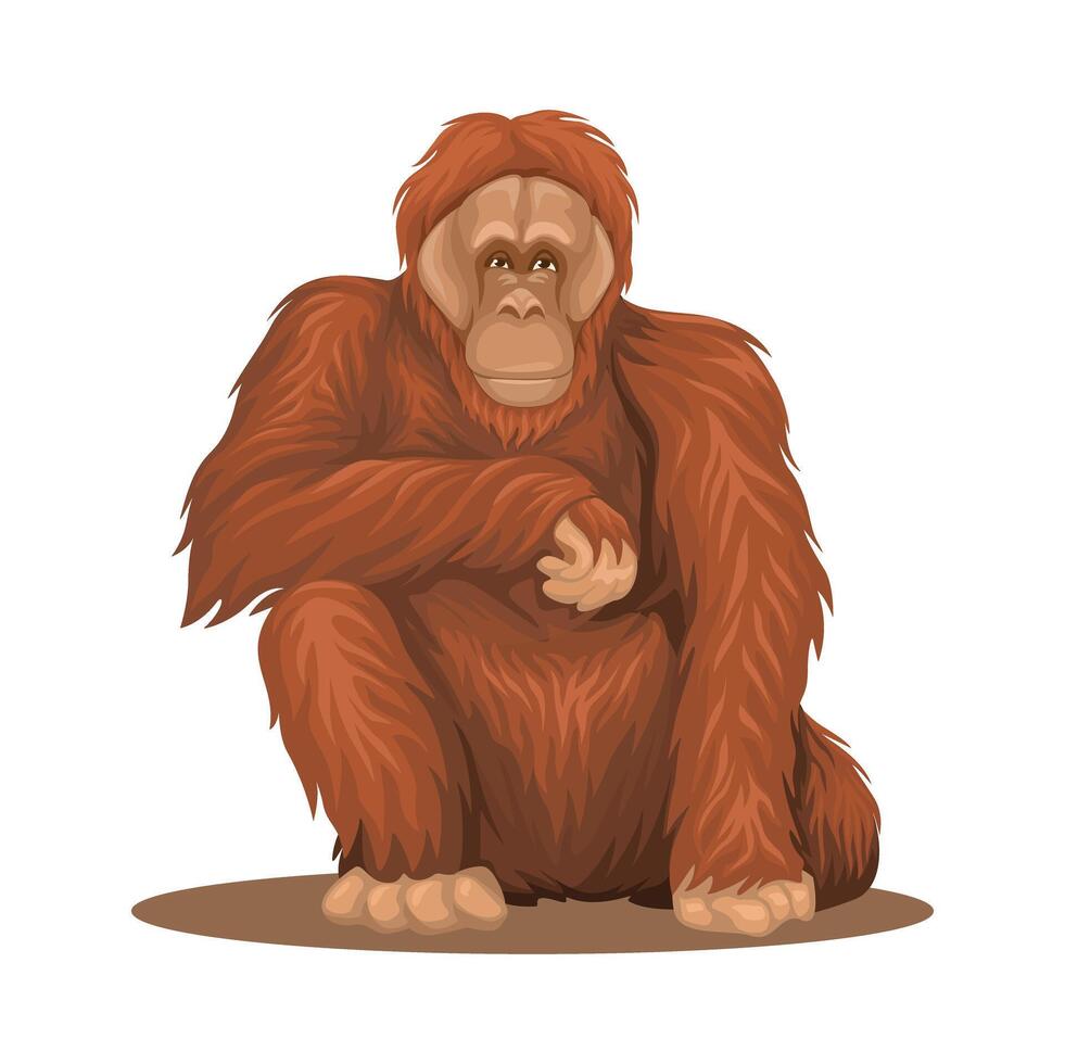 Orangutan Animal Species Cartoon Illustration Vector