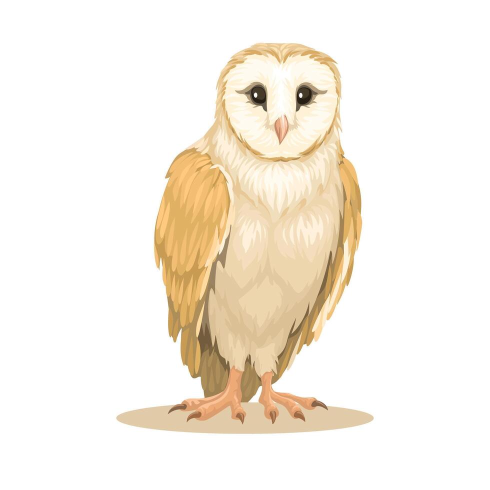 Owl Bird Animal Realistic Illustration Vector
