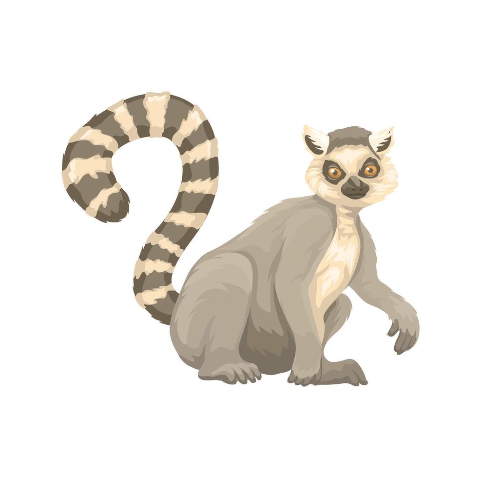 anillo cola lémur animal especies dibujos animados ilustración vector