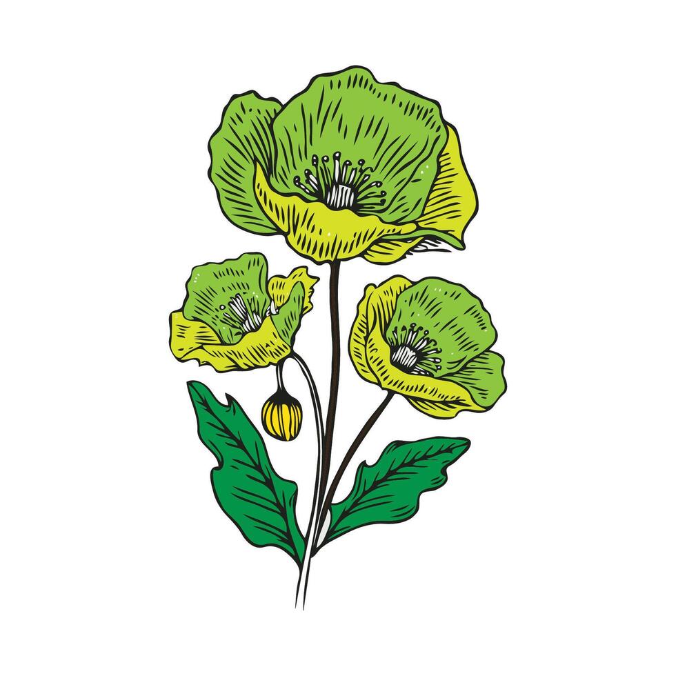 botánico dibujo. mínimo planta logo, botánico gráfico bosquejo dibujo, prado verdor, hoja y floreciente flor resumen bosquejo elemento recopilación, rústico rama vector ilustración línea Arte