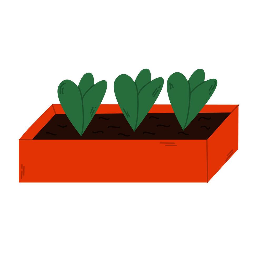 Wooden box, crate with soil, ground and greenery sprouts. Vegetables farming. Gardening, plants. vector