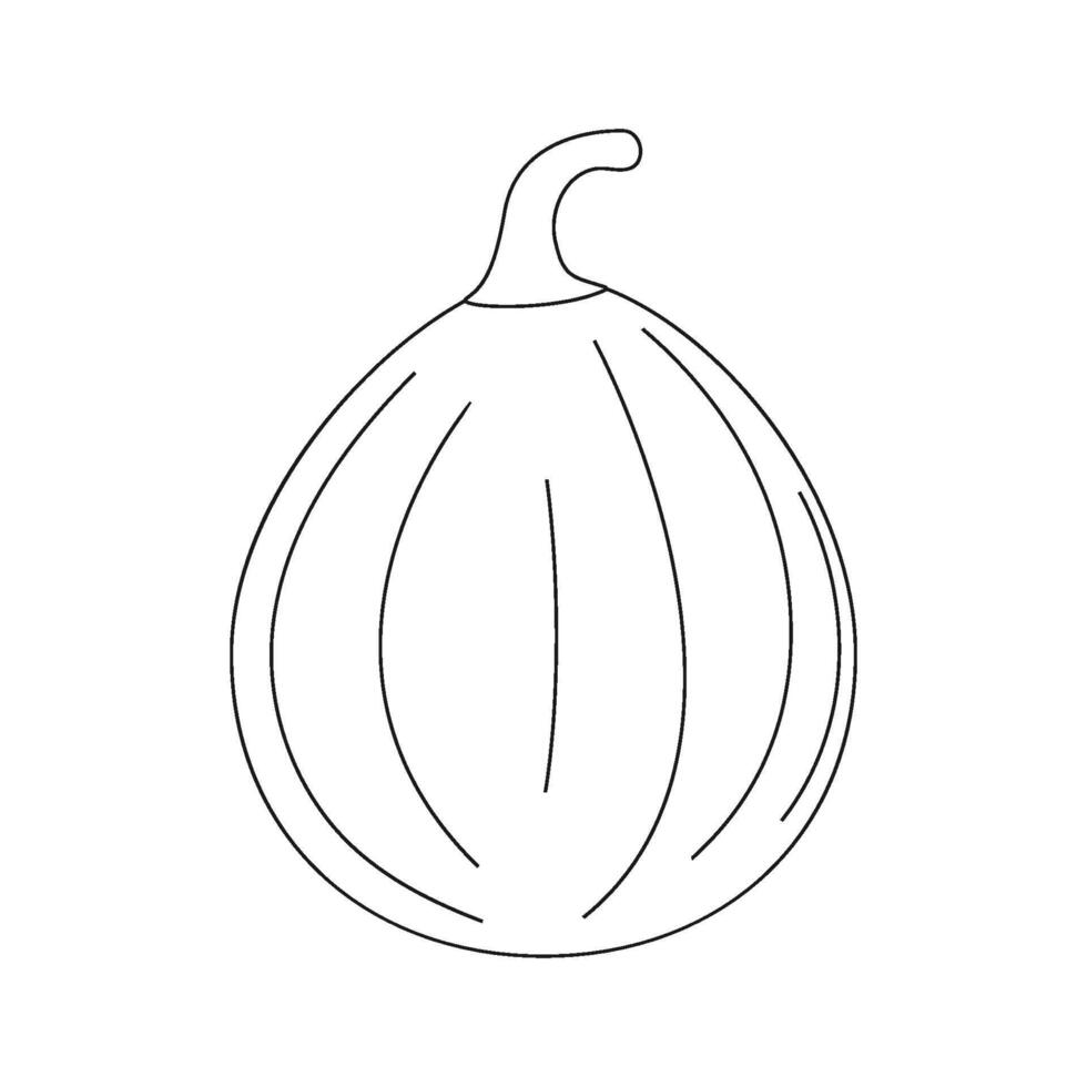nutmeg icon vector