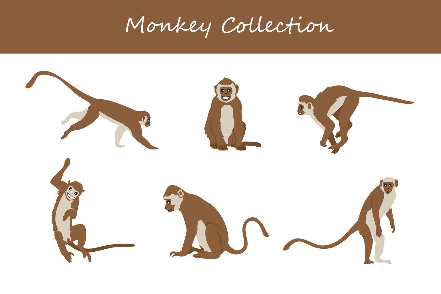 monkey vector illustration set. Cute monkey isolated on white background.