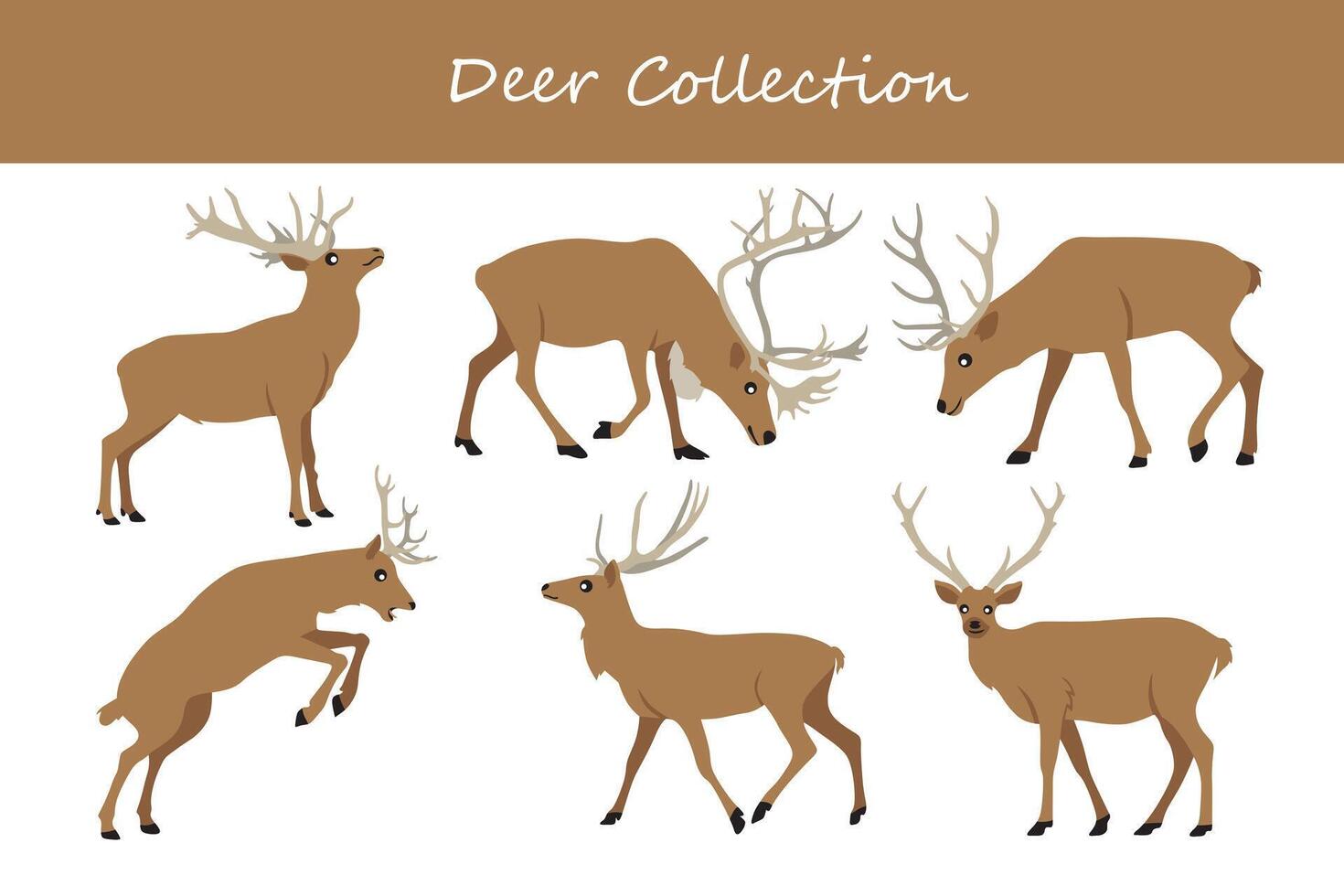 Deer collection. Vector illustration. Isolated on white background.