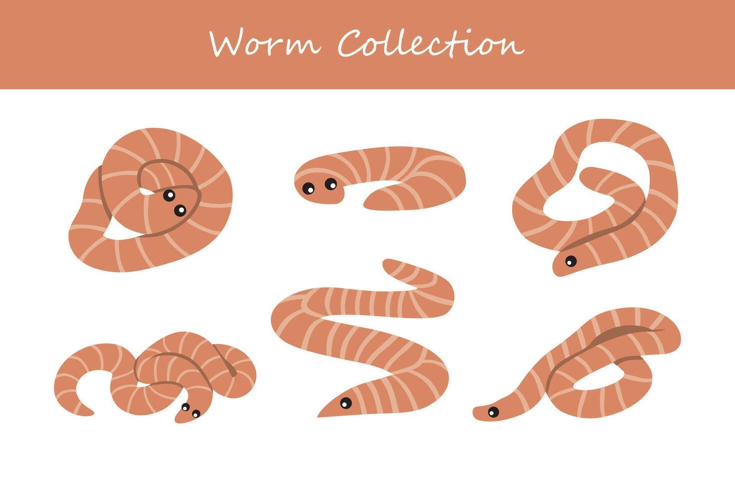 worm vector illustration set. Cute worm isolated on white background.