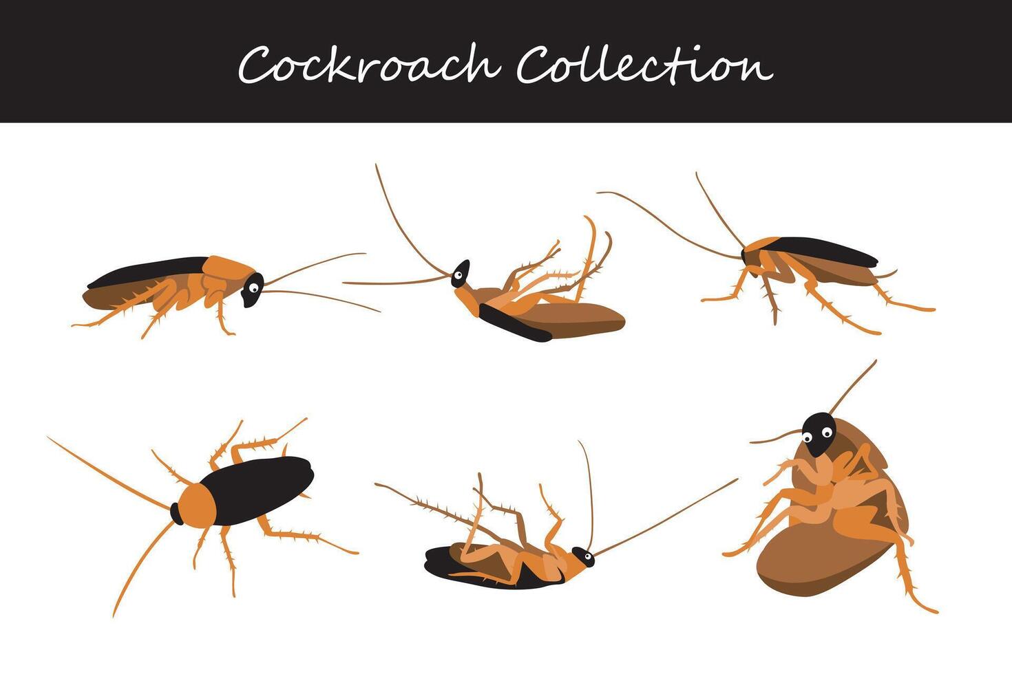 Cockroach vector illustration set. Cute cockroach isolated on white background.