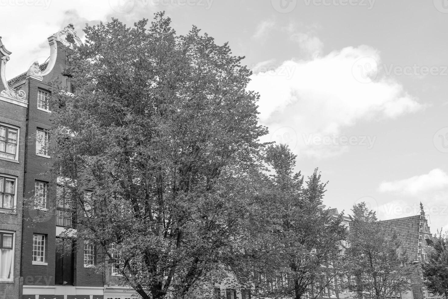 amsterdam in holland photo