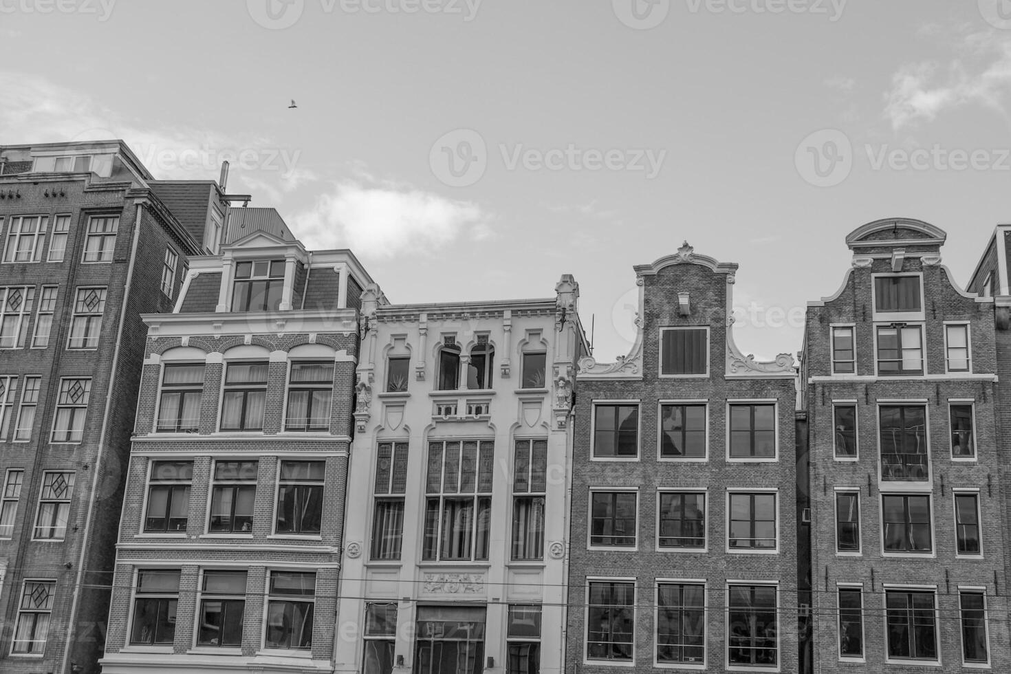 amsterdam in holland photo