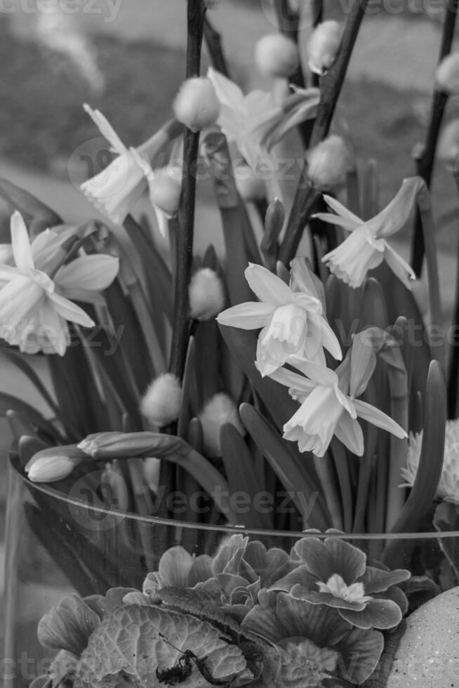 tiempo de primavera en westfalia foto