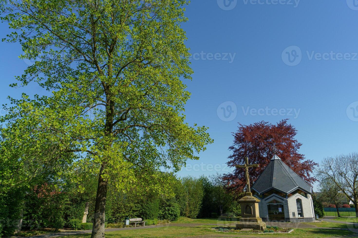spring time in westphalia photo