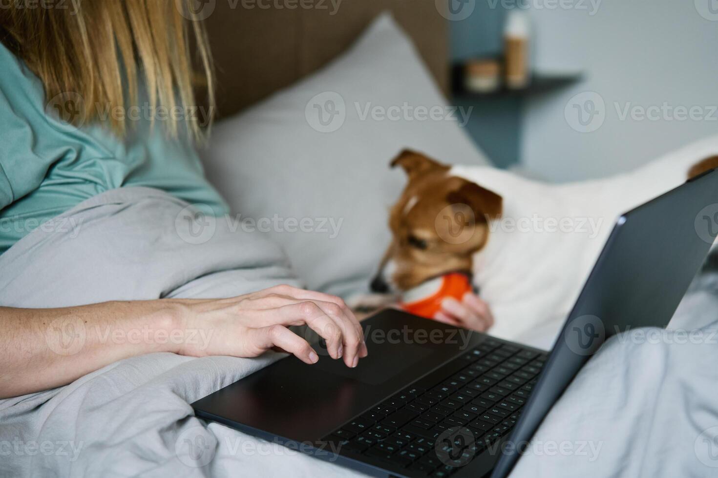 Woman with cute dog lying in bed and using laptop at morning photo