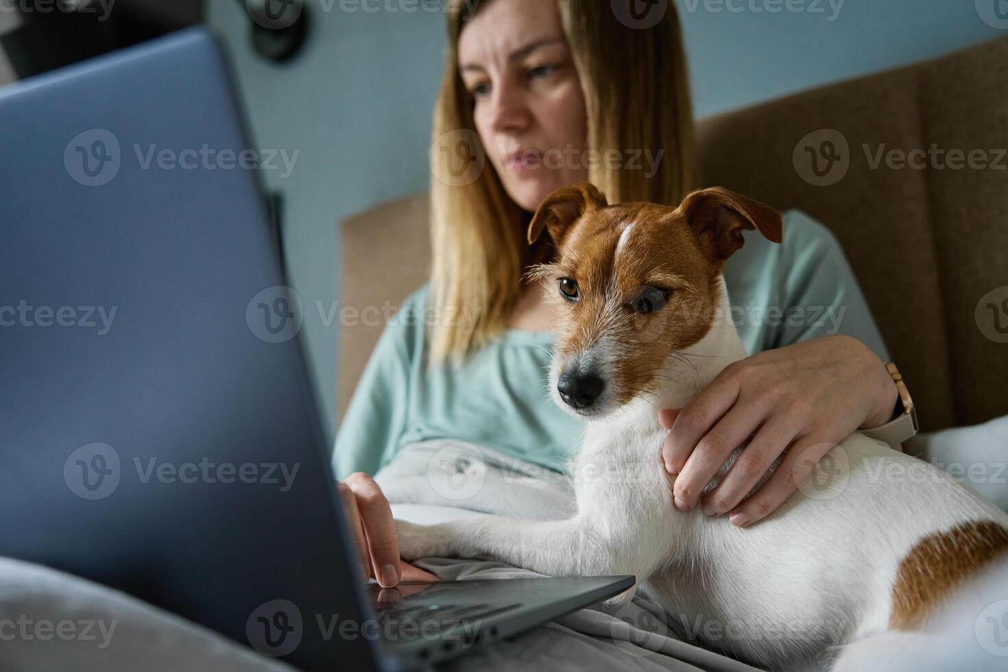 Woman lying in bed with dog and use laptop for working photo