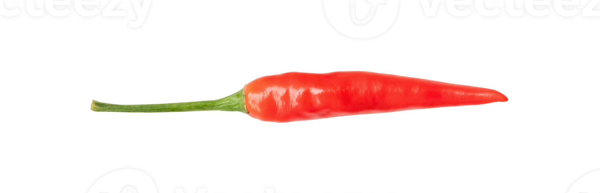Top view and flat lay of single fresh red chili pepper isolated with clipping path in png file format