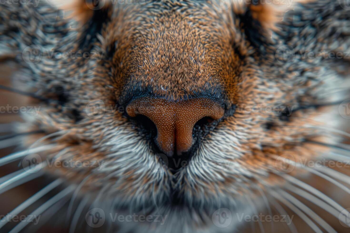 AI generated Macro shot of cat muzzle photo