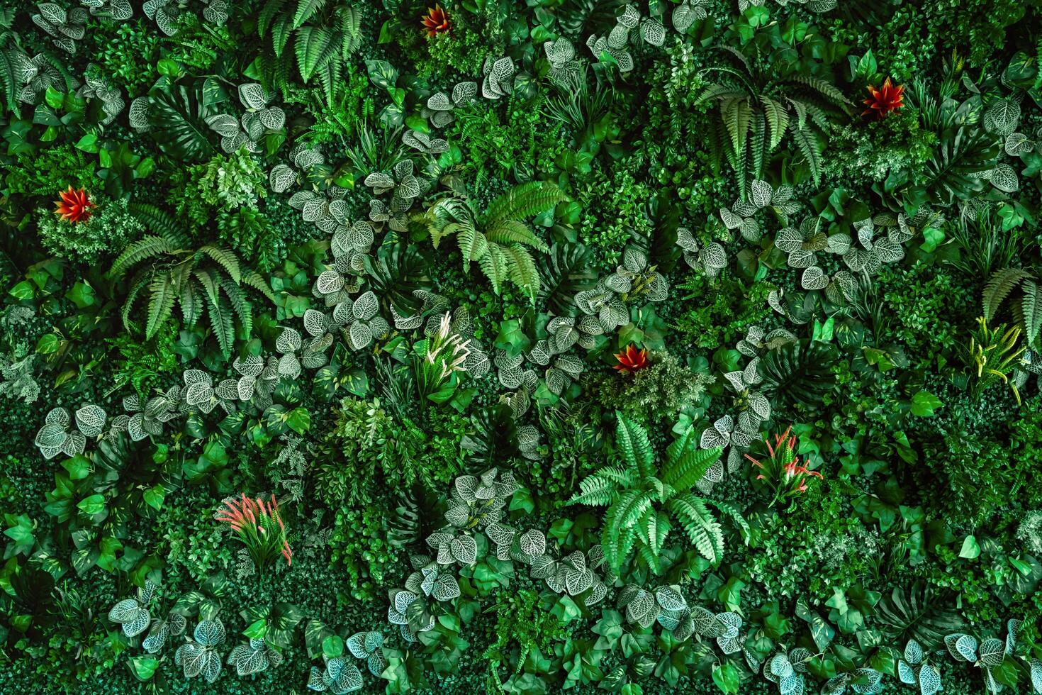 Collection of green leaves on wall for decoration in a coffee shop. Green nature. plant background photo