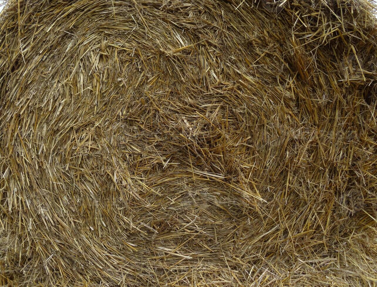 Pattern Of Dry Hay In A Stack Closeup photo