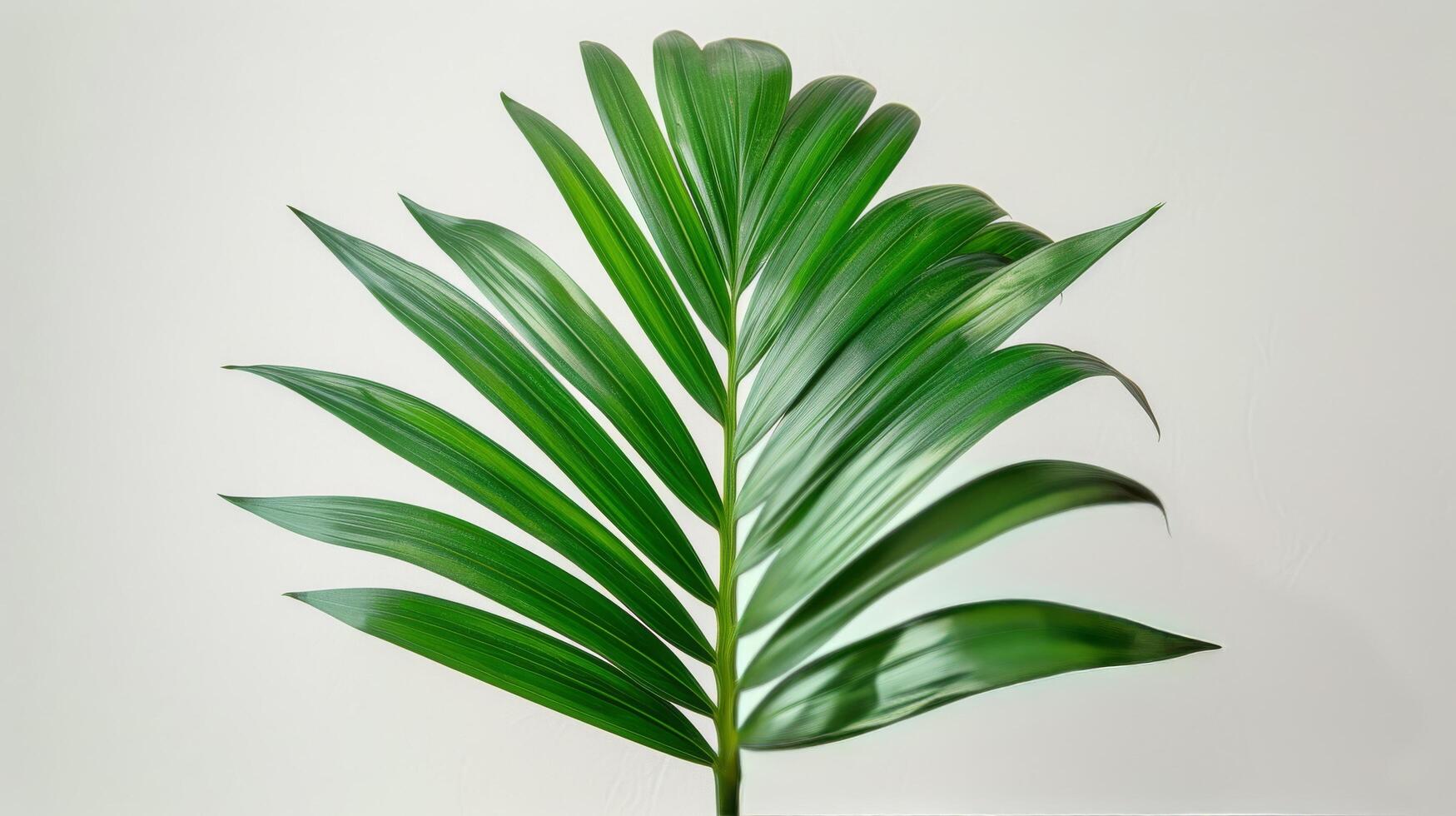 AI generated Large Green Leaf on White Table photo