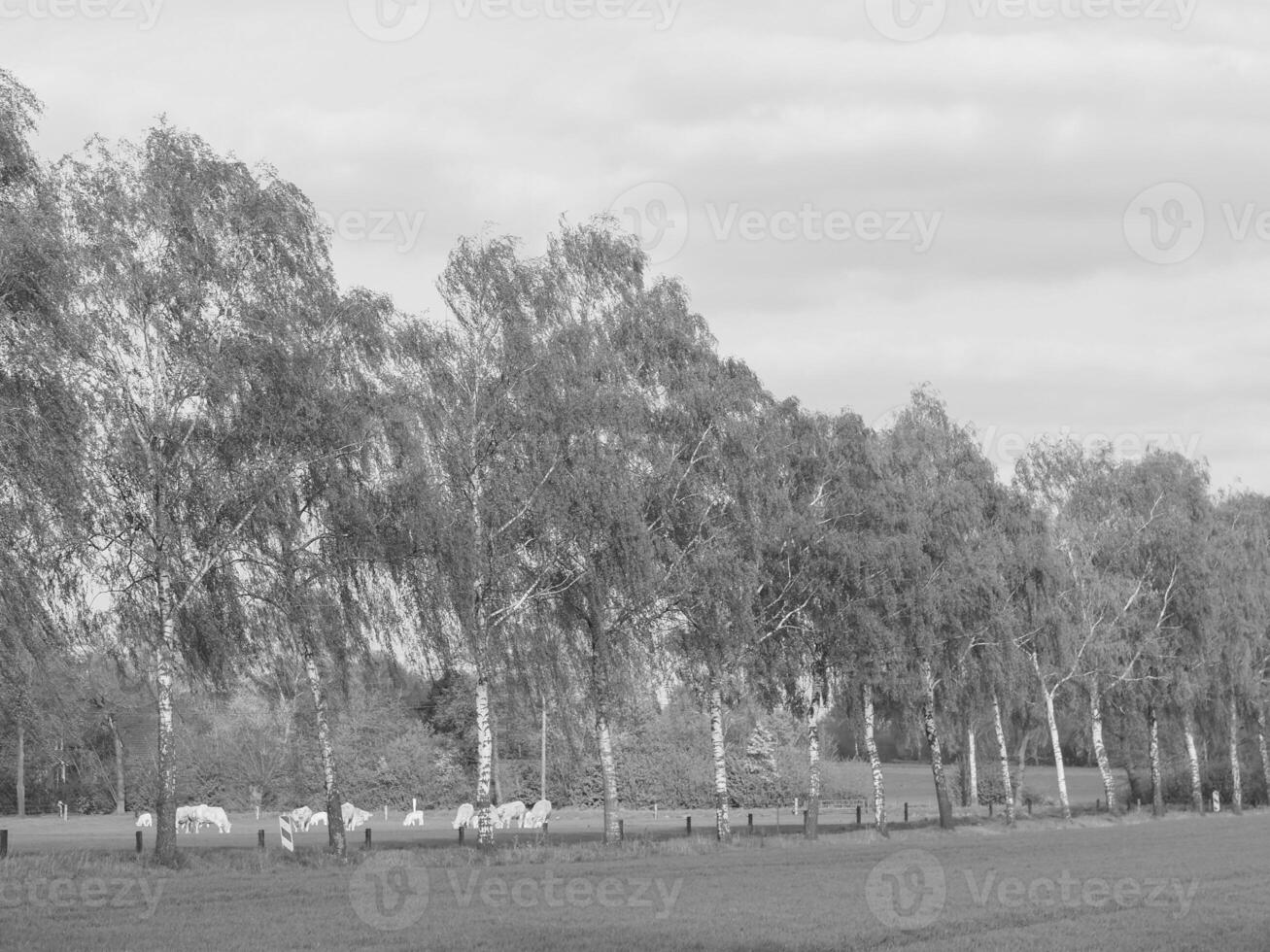 Weseke pueblo en Alemania foto