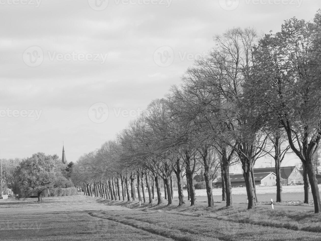 village in westphalia photo