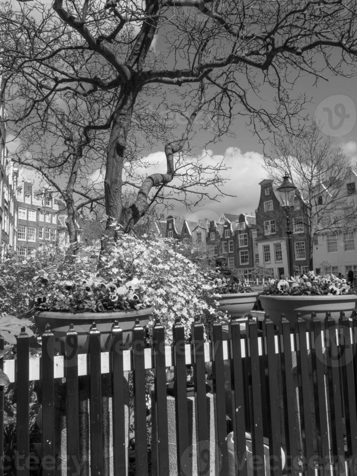 primavera hora en Amsterdam foto