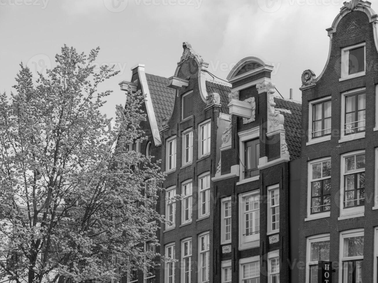 Amsterdam in holland photo