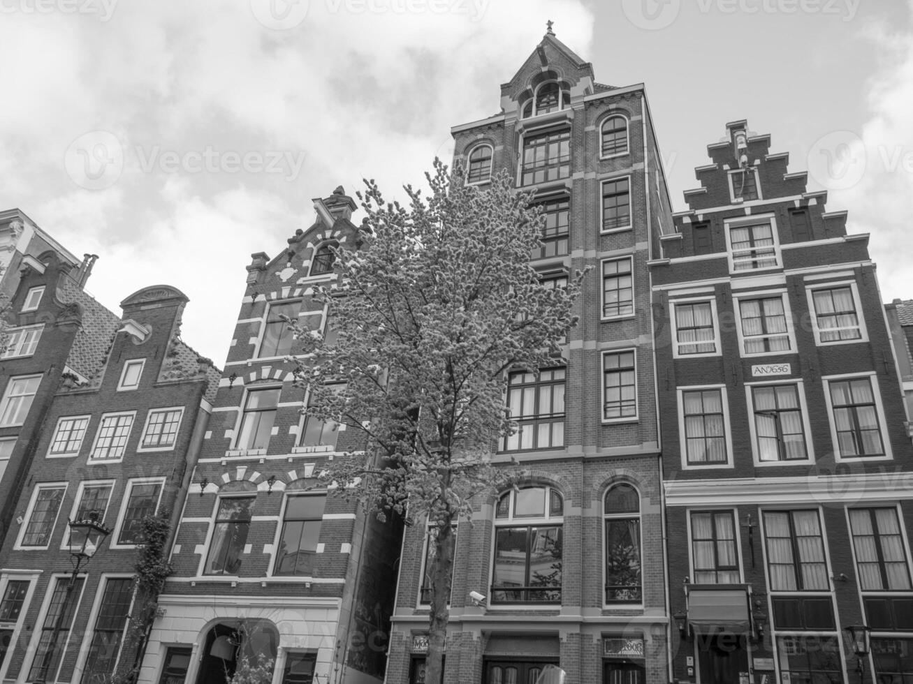 amsterdam in the netherlands photo