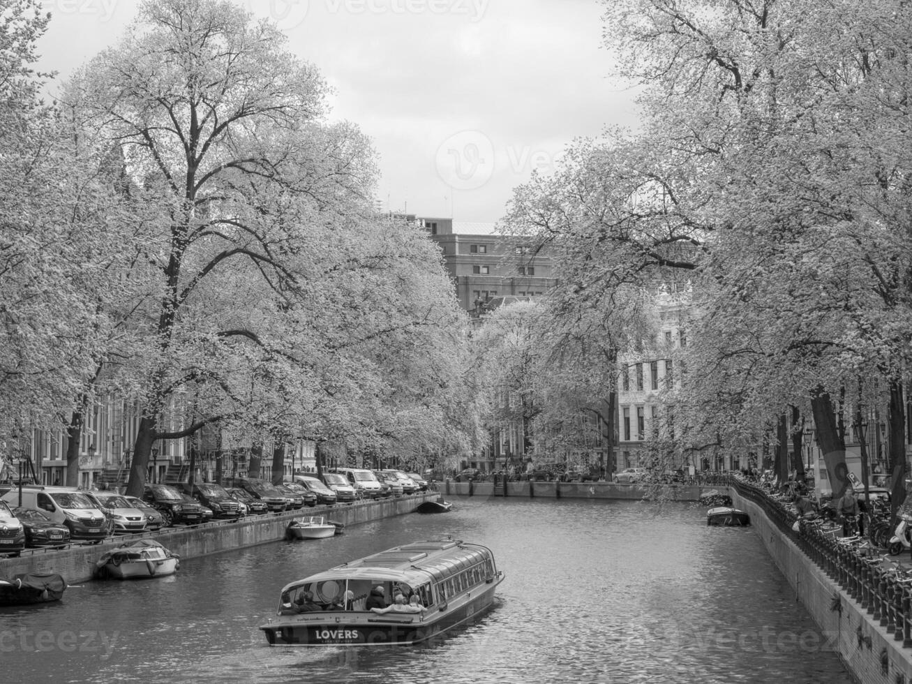 spring time in amsterdam photo