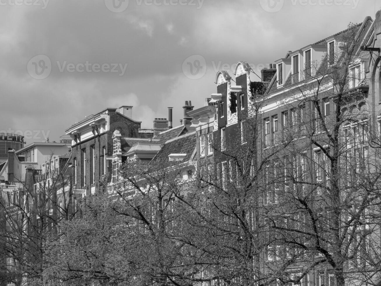spring time in amsterdam photo