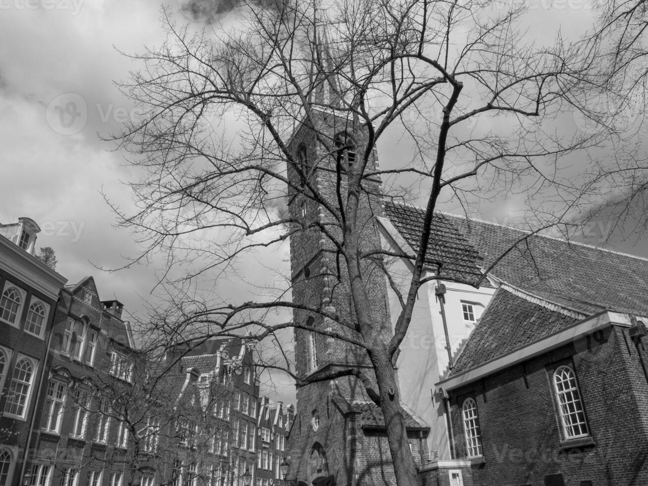 primavera hora en Amsterdam foto