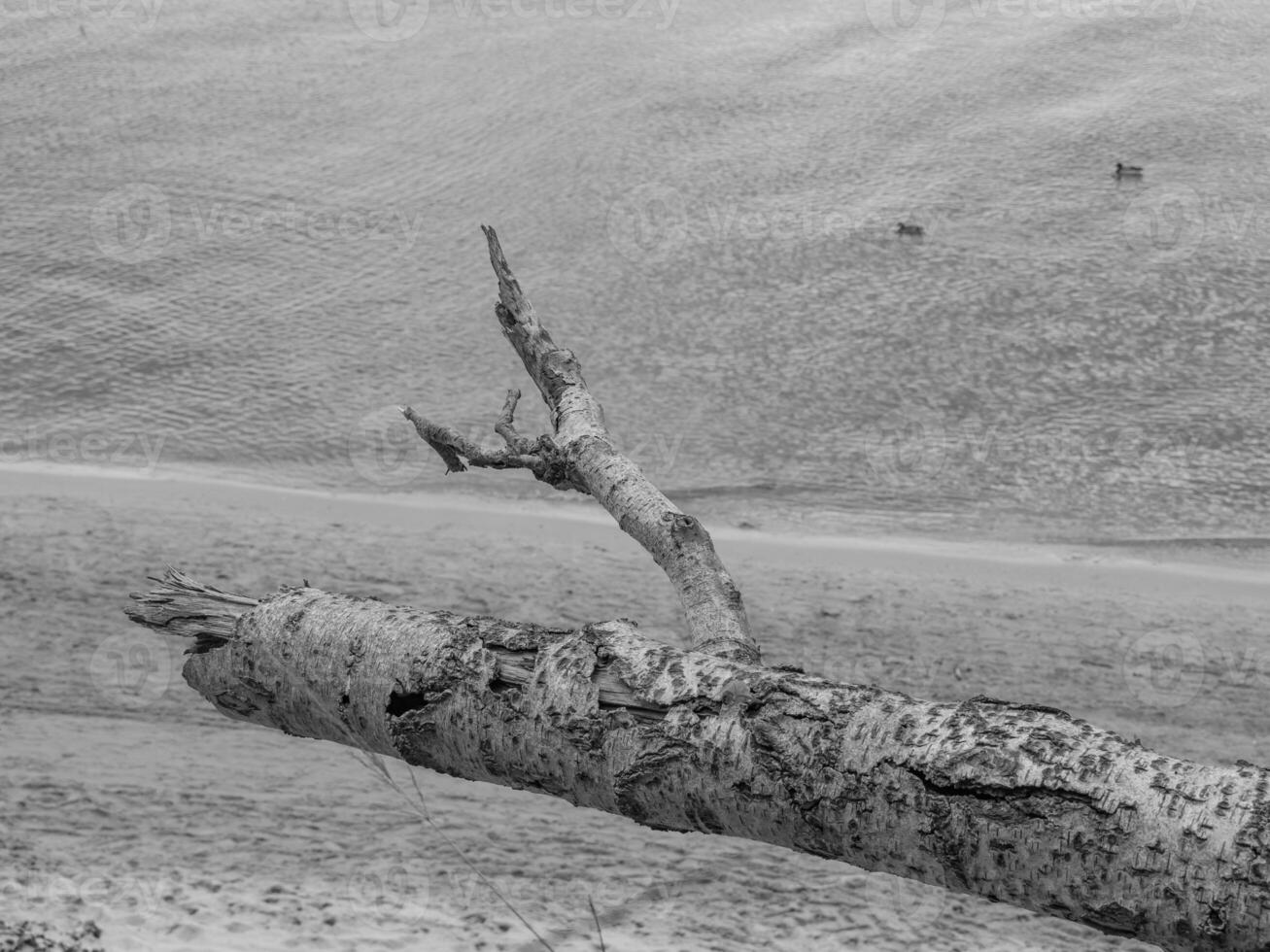 playa en Polonia foto