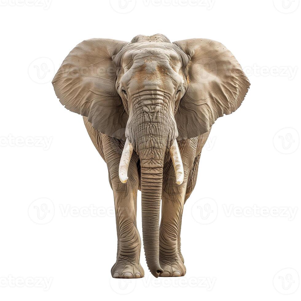 AI generated an elephant is standing in front of a white background photo