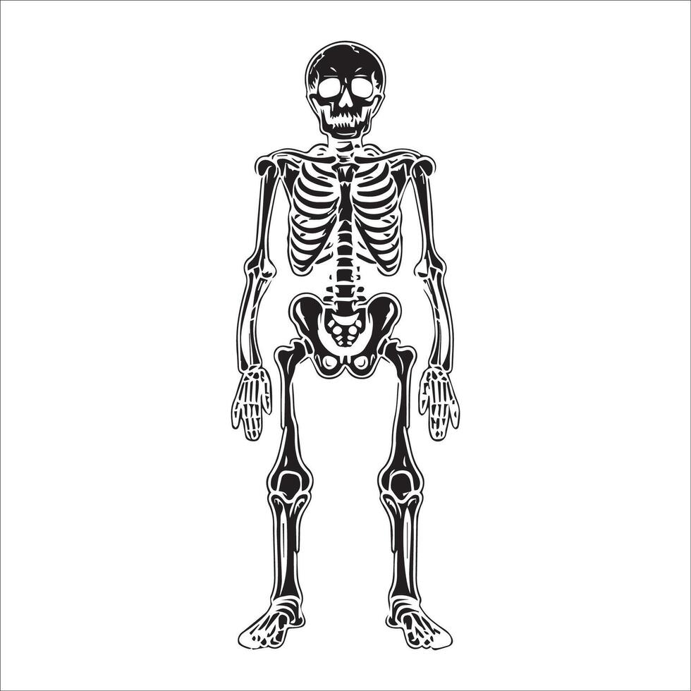 AI generated Human skeleton in black and white illustration vector