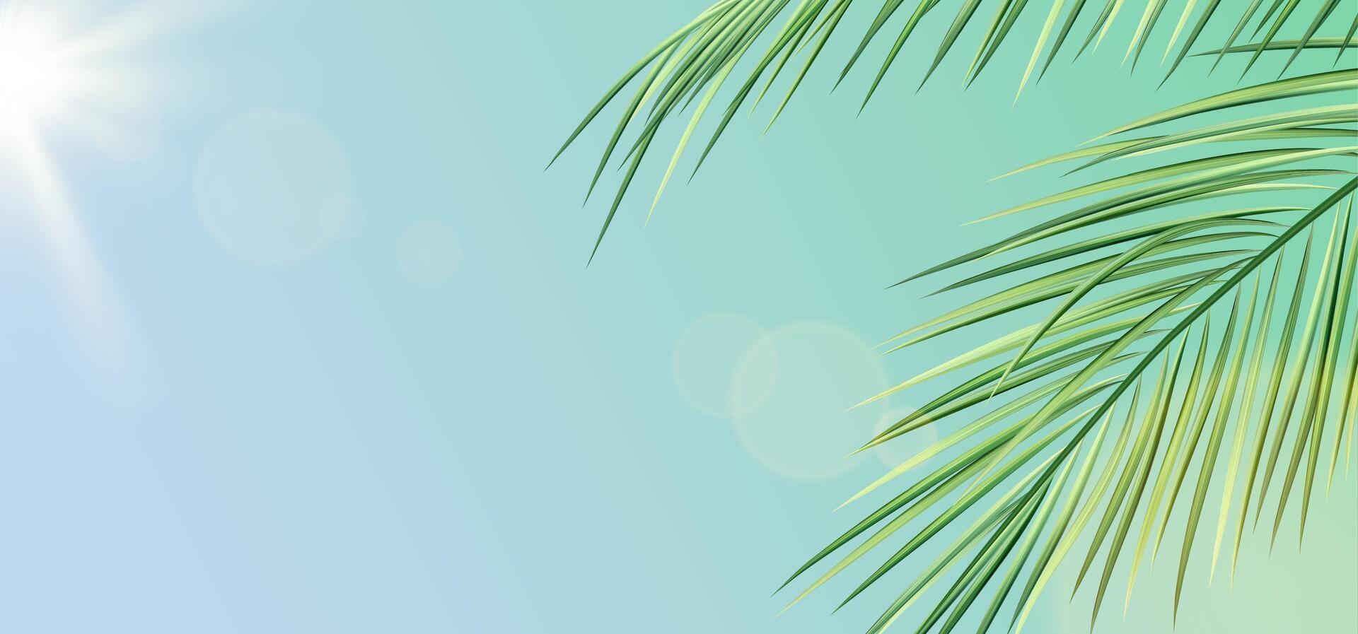 Realistic palm leaves against sky and sun. Summer tropical illustration of green exotic palm tree branches. Vector template for background, wallpaper