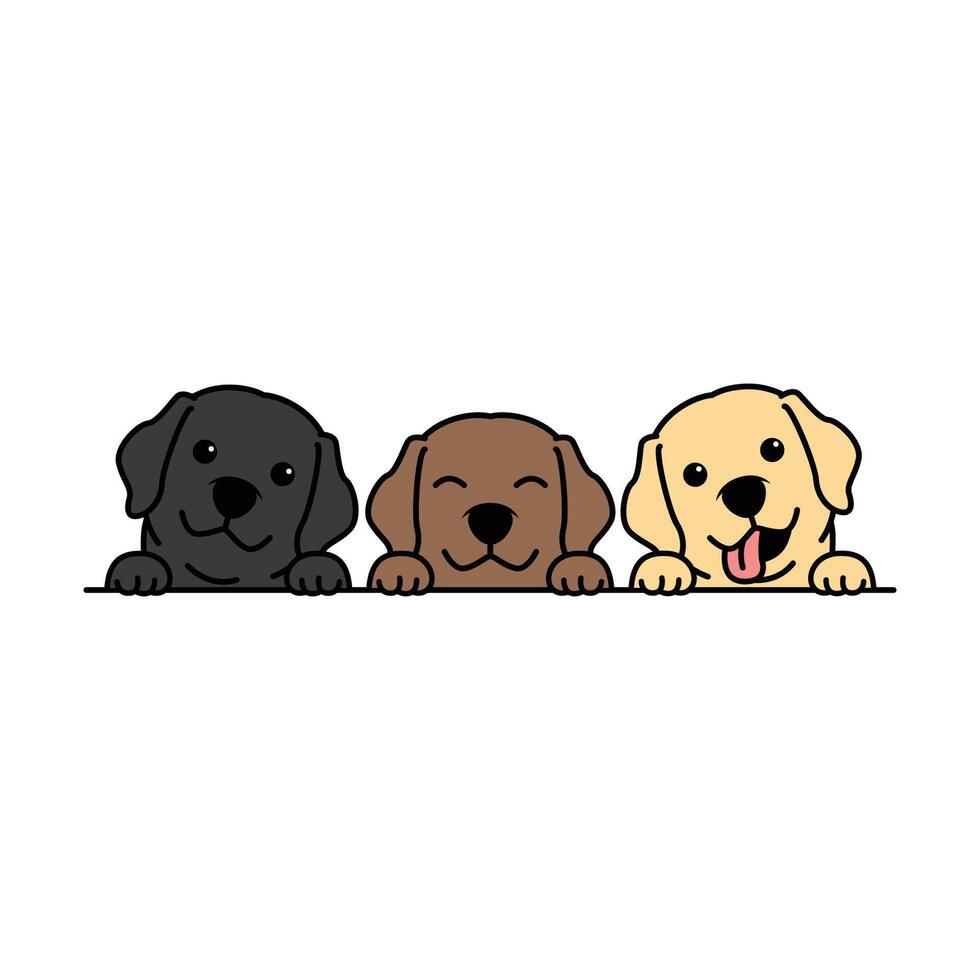 Cute labrador retriever puppy three different colors cartoon, vector illustration